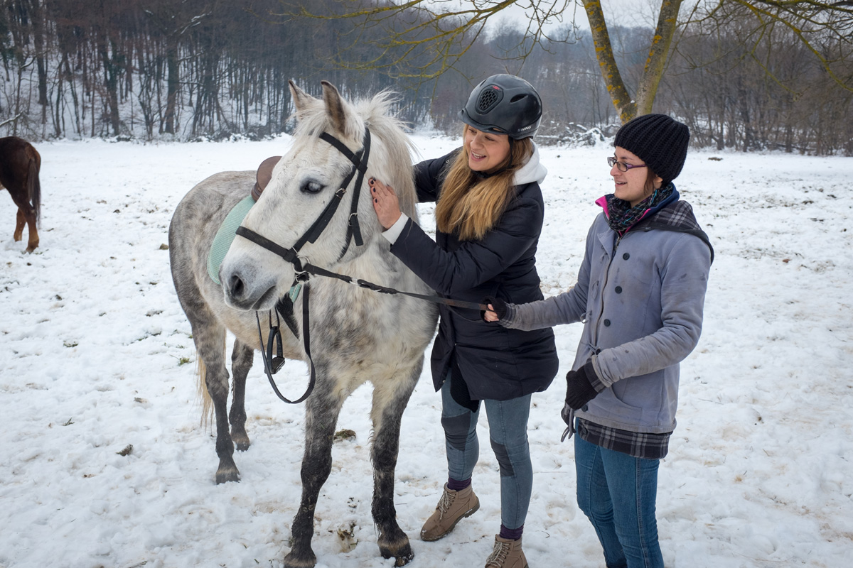Fotogalerija: Vikend pečenih krumpira