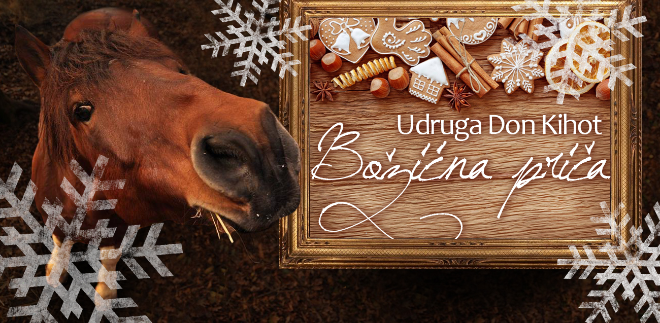 Božićna priča 2015